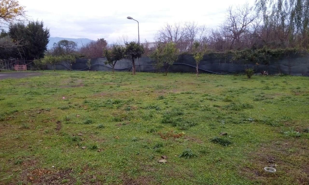 Antica Masseria Pellegrini Hotel Boscoreale Eksteriør billede